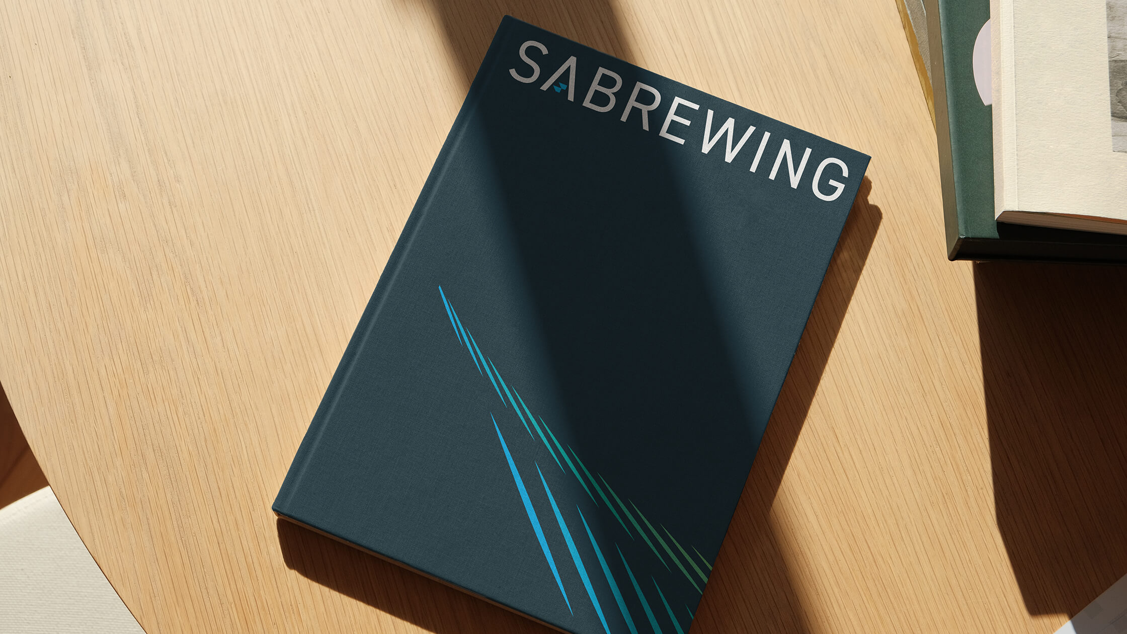 Sabrewing Aircraft book cover design