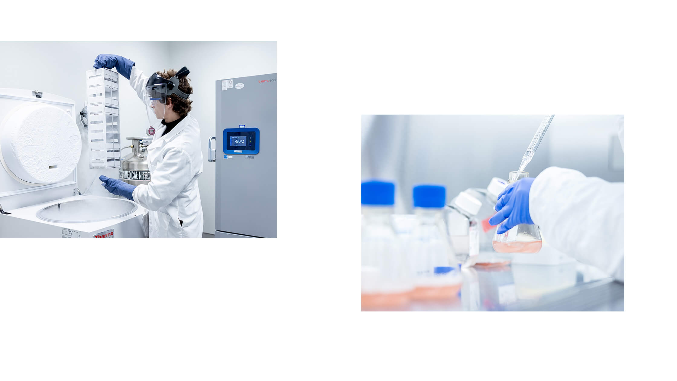 Photoshoot art directed by Igawa Design for VintaBio, capturing lab processes with a focus on precision and innovation. The imagery highlights a scientist handling cryogenic samples and detailed close-ups of cell culture work, showcasing the advanced lab environment.