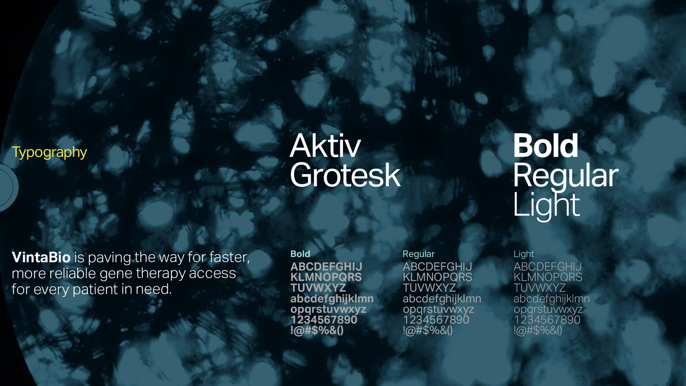 Typography system for VintaBio, featuring Aktiv Grotesk in Bold, Regular, and Light weights. Igawa Design selected the typeface to convey the brand’s clarity and precision.