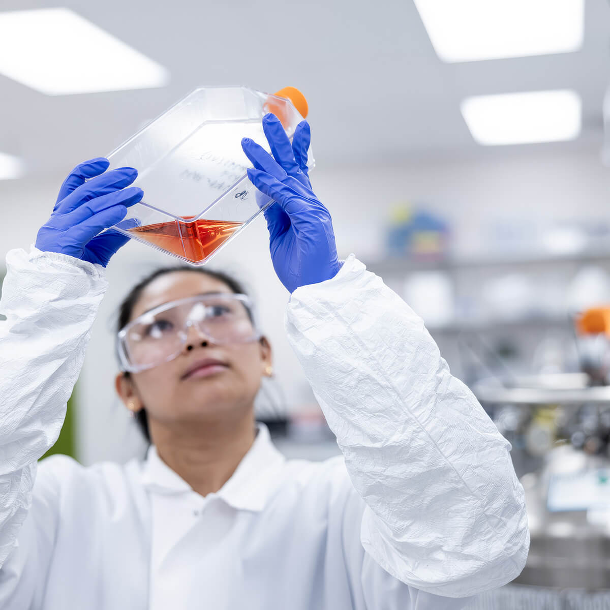 Lab technician inspecting a culture flask in a clean, modern lab.